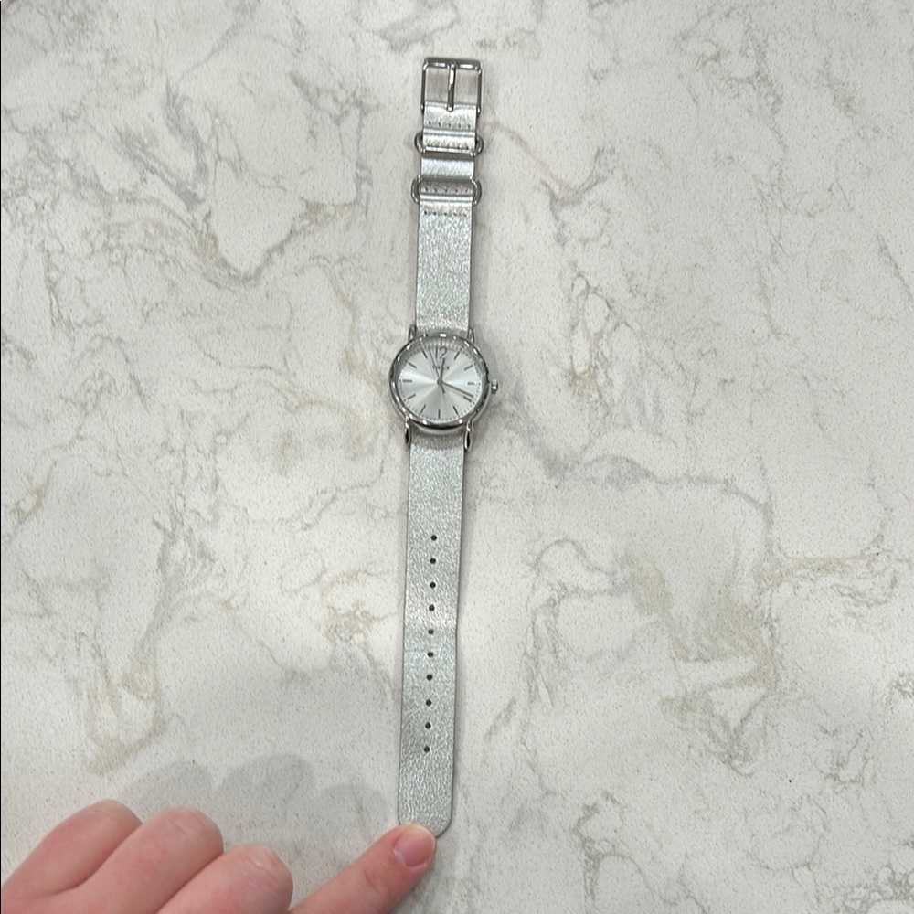 🎄 Timex Classic Silver Watch